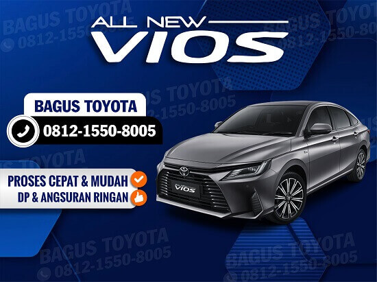 ALL NEW VIOS
