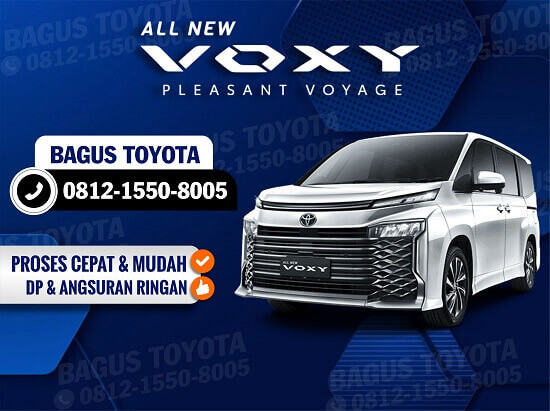 ALL NEW VOXY ALL NEW VOXY